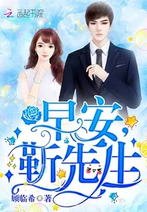 《早安，靳先生！》小说封面
