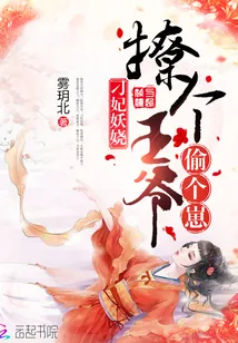 《刁妃妖娆：撩个王爷偷个崽》小说封面