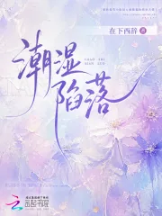 《潮湿陷落》小说封面