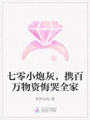 《七零小炮灰，携百万物资悔哭全家》小说封面