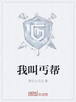 《我叫丐帮》小说封面