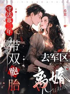 《守活寡三年，带双胞胎去军区离婚》小说封面