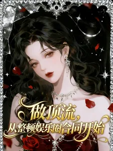 《做顶流，从整顿娱乐圈合同开始》小说封面