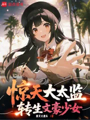 《惊天大太监，转生文学少女》小说封面