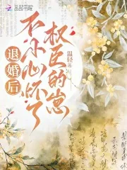 《退婚后,不小心怀了权臣的崽》小说封面