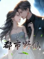 《都市野仙》小说封面