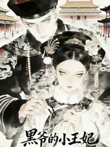 《黑爷的小王妃》小说封面