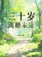 《三十岁，离婚未遂》小说封面