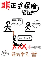 《非正式探险笔记》小说封面