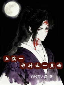 《上弦一为什么一直响》小说封面