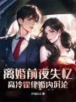 《离婚前夜失忆,高冷霍律婚内沉沦》小说封面