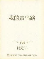 《我的青乌路》小说封面