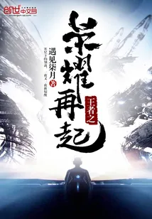 《王者之荣耀再起》小说封面