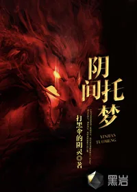 《阴间托梦》小说封面