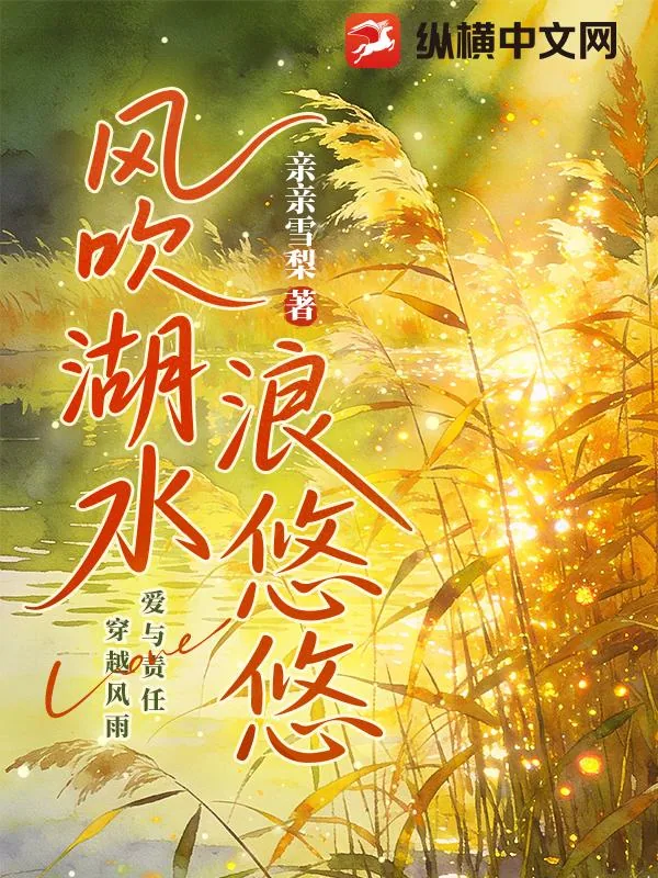 《风吹湖水浪悠悠》小说封面