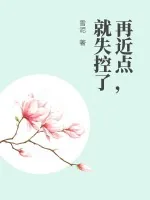 《再近点,就失控了》小说封面