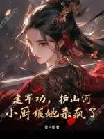 《建军功,护山河,小厨娘她杀疯了》小说封面