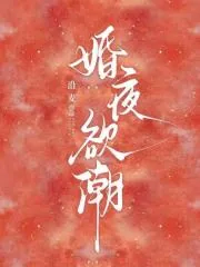 《婚夜欲潮》小说封面