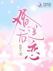 《婚后迷恋》小说封面
