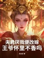 《夫君厌我便改嫁，王爷怀里不香吗？》小说封面