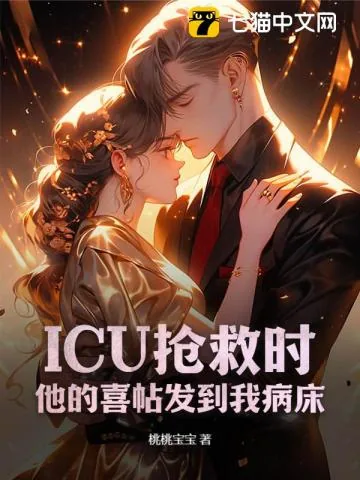 《心跳停止时,他的婚礼在放烟花》小说封面