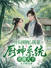 《开局婚配，我靠厨神系统名动天下》小说封面