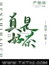 《真是，好茶！》小说封面