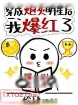 《穿成炮灰明星后我爆红了》小说封面