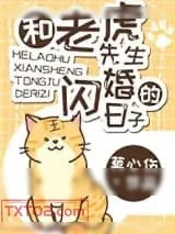 《和老虎先生闪婚的日子》小说封面