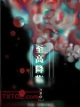 《至高降临》小说封面