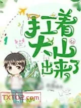 《扛着大山出来了》小说封面