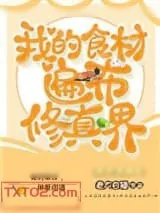 《我的食材遍布修真界》小说封面