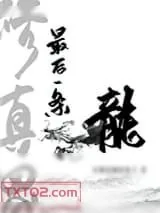 《修真界最后一条龙》小说封面
