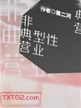 《非典型性营业》小说封面