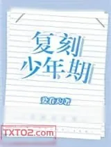 《复刻少年期[重生]》小说封面