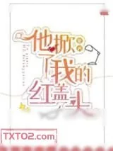 《他掀了我的红盖头》小说封面