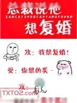 《总裁说他想复婚》小说封面