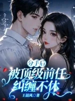 《分手后，被顶级前任纠缠不休》小说封面