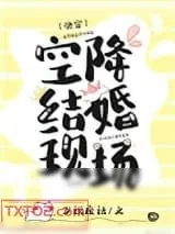 《空降结婚现场[快穿]》小说封面