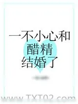 《一不小心和醋精结婚了》小说封面