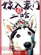 《嫁入豪门的二哈》小说封面