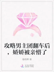 《攻略男主团翻车后，娇娇被亲懵了》小说封面