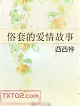 《俗套的爱情故事》小说封面