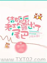 《结婚后老攻露出了尾巴[娱乐圈]》小说封面