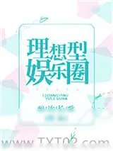 《理想型娱乐圈》小说封面