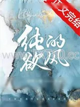 《纯欲的风》小说封面