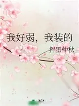 《我好弱，我装的》小说封面