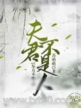 《东方不败之夫君不是人》小说封面