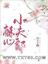 《酥心小夫郎》小说封面