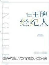 《王牌经纪人》小说封面